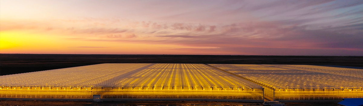 2022第十九届中国国际检验医学暨输血仪器试剂博览会